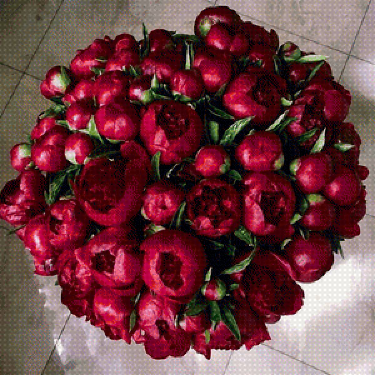 пионы - цветы, букет, пионы - предпросмотр