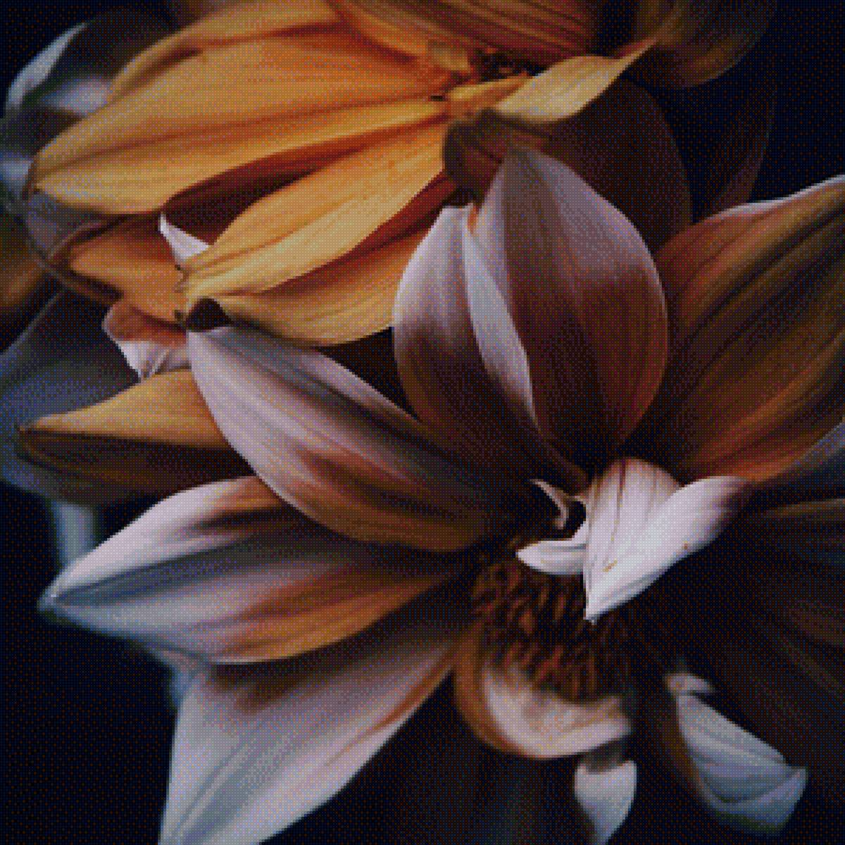 цветы - цветы, букет - предпросмотр