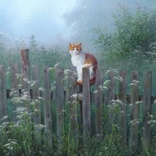 раннее утро