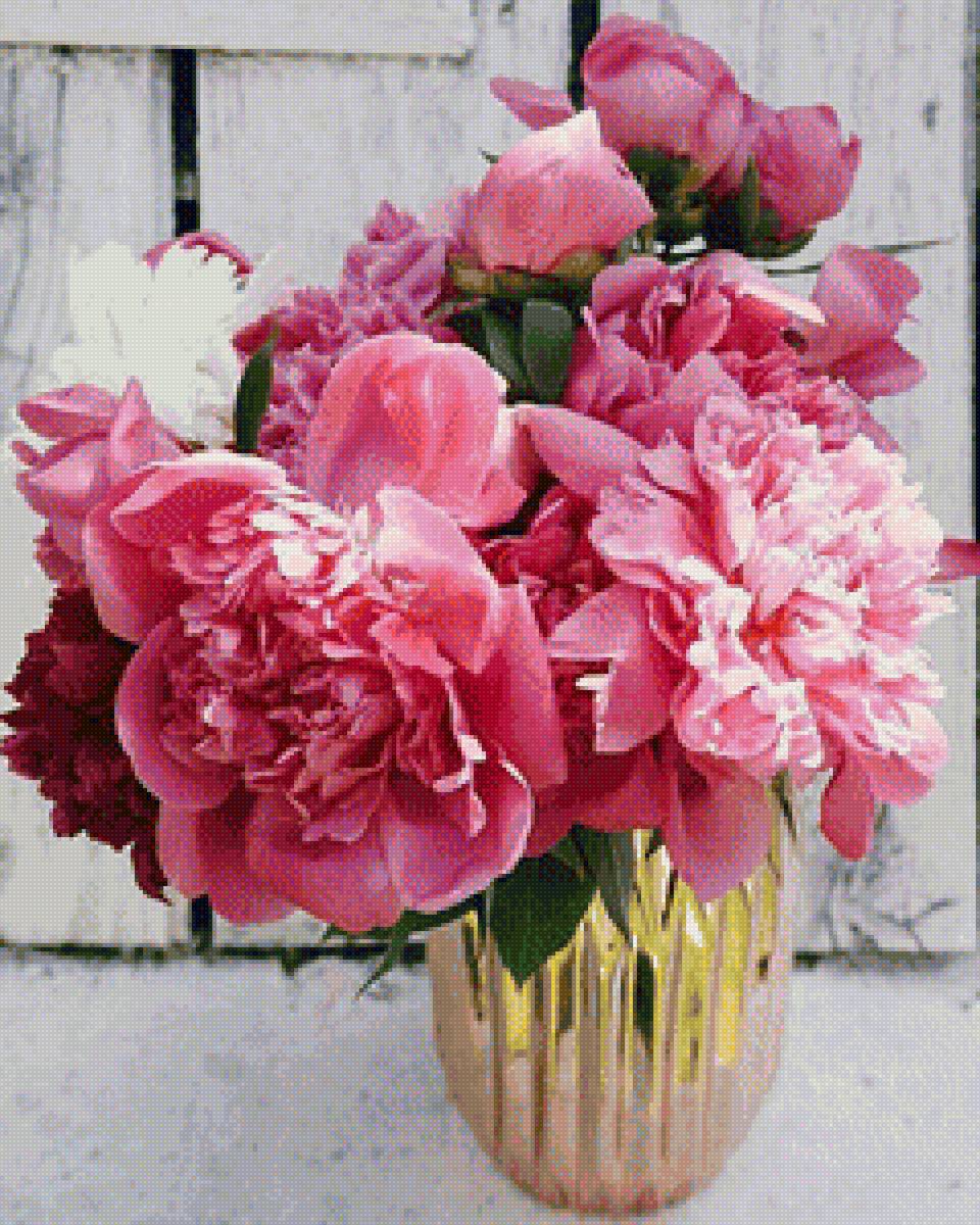 Букет пионов - букет, пионы, цветы - предпросмотр