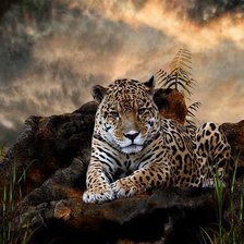 Схема вышивки «№1543827»