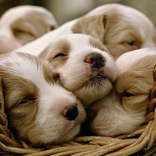 Схема вышивки «№1543835»