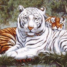 Схема вышивки «№1543865»