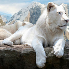 Схема вышивки «№1543898»