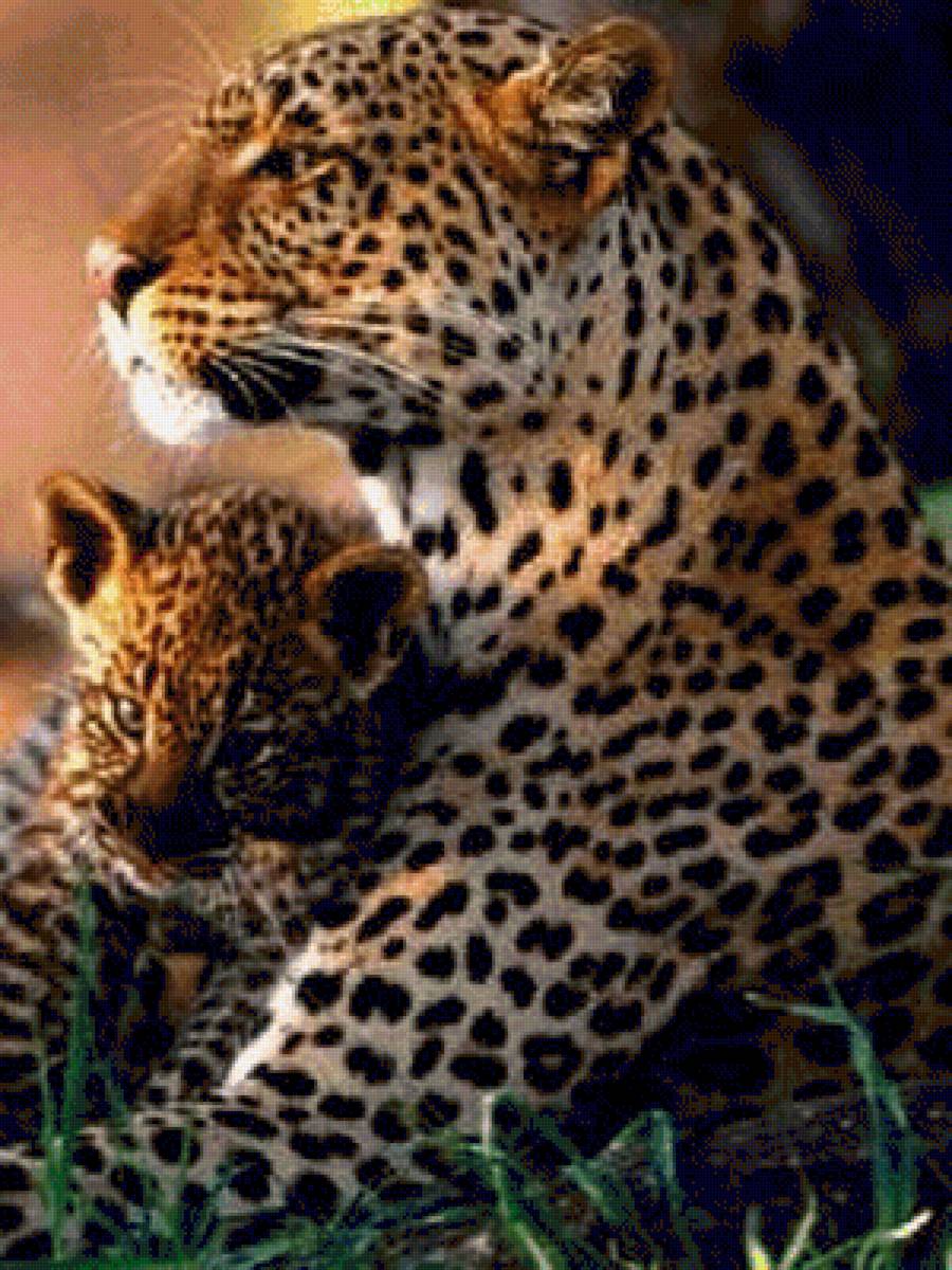 №1543913 - предпросмотр