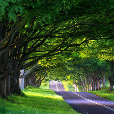 Схема вышивки «№1543922»