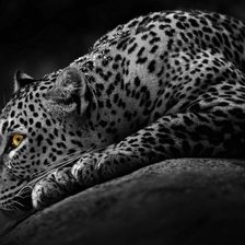 Схема вышивки «№1543923»