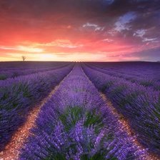 Схема вышивки «№1543933»