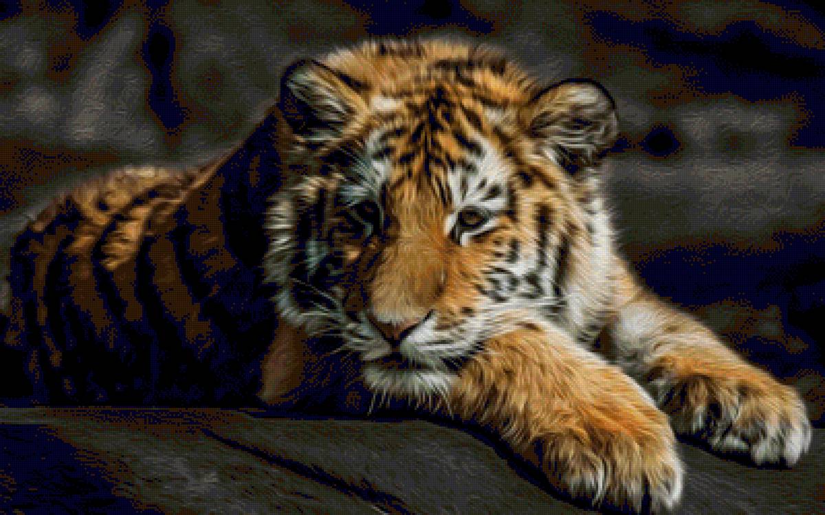 №1543938 - предпросмотр