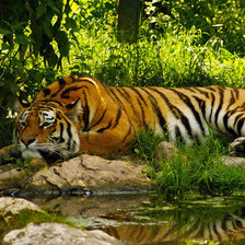 Схема вышивки «№1543946»