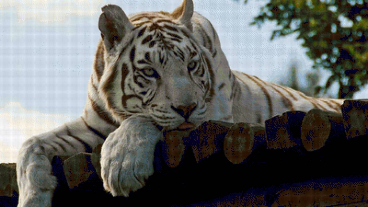 №1543947 - предпросмотр