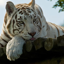 Схема вышивки «№1543947»