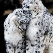 Схема вышивки «№1543949»