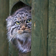 Схема вышивки «№1544028»