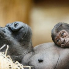 Схема вышивки «№1544032»