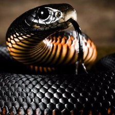 Схема вышивки «№1544039»