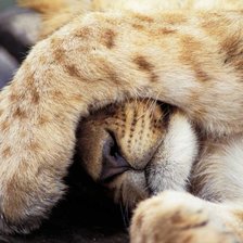 Схема вышивки «№1544040»