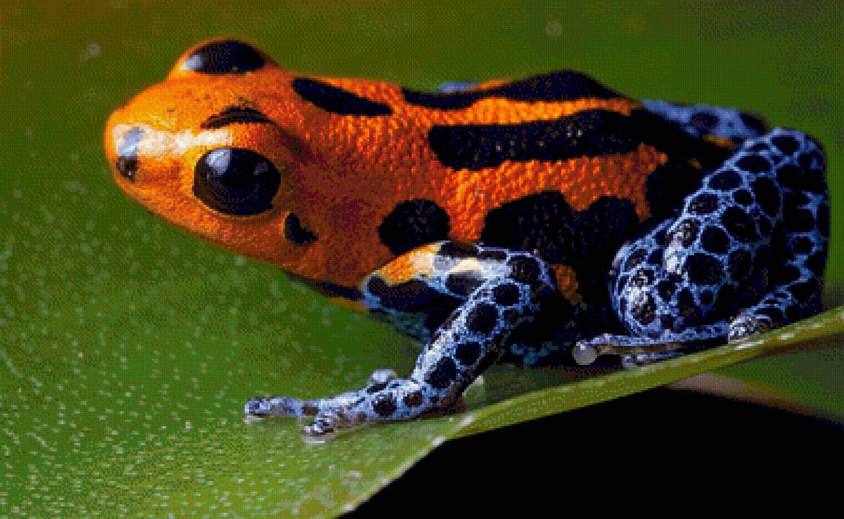 №1544042 - предпросмотр