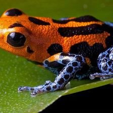 Схема вышивки «№1544042»