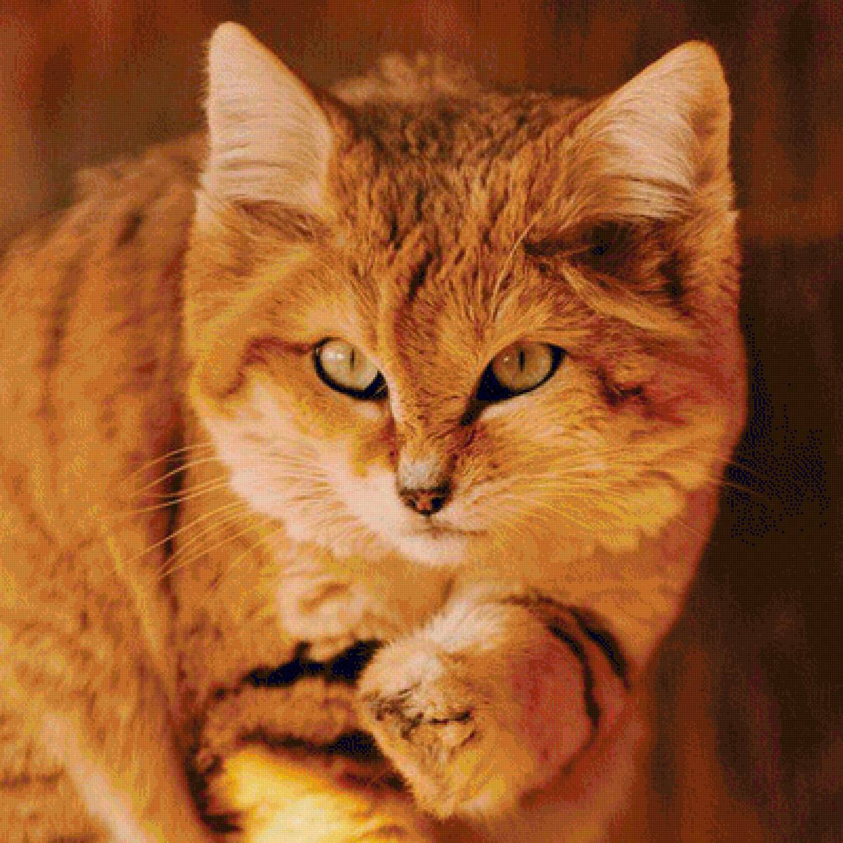 №1544044 - предпросмотр