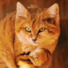 Схема вышивки «№1544044»