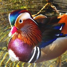 Схема вышивки «№1544058»