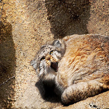 Схема вышивки «№1544060»