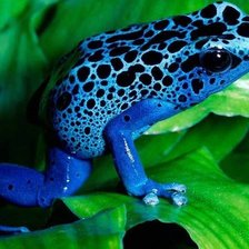 Схема вышивки «№1544067»