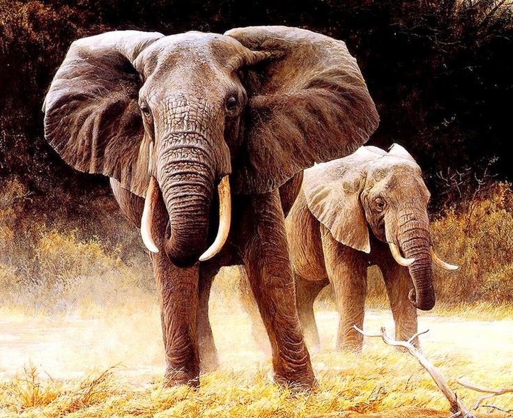 №1544075 - оригинал