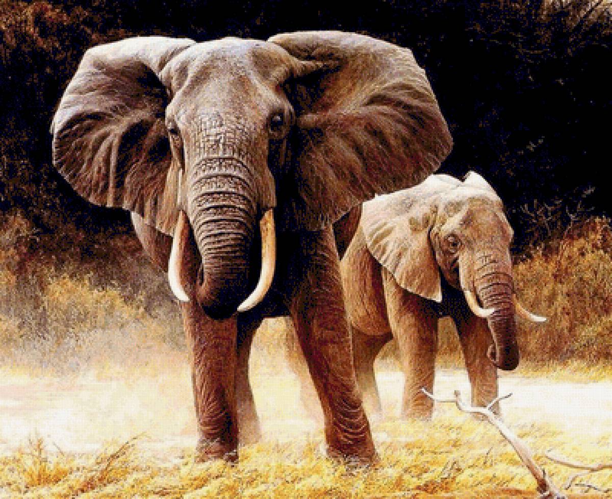 №1544075 - предпросмотр