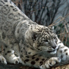 Схема вышивки «№1544079»