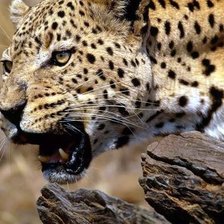 Схема вышивки «№1544094»