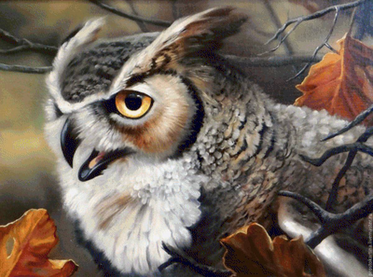 №1544096 - предпросмотр