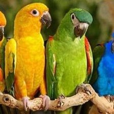 Схема вышивки «№1544097»