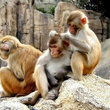 Схема вышивки «№1544189»