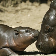 Схема вышивки «№1544194»