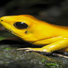 Схема вышивки «№1544197»