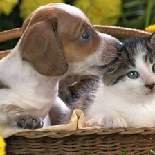 Схема вышивки «№1544200»