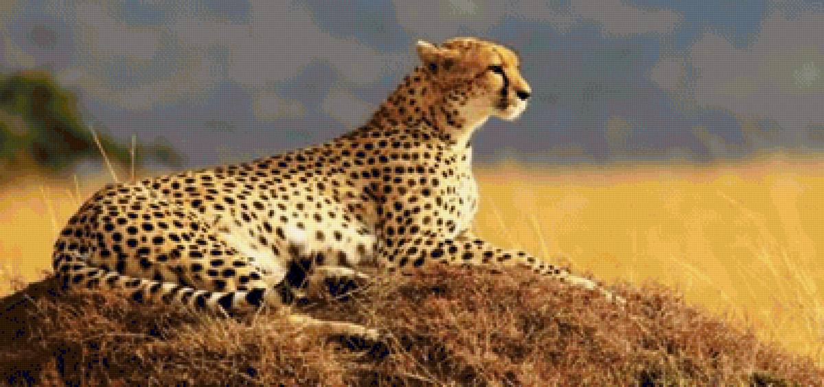 №1544202 - предпросмотр