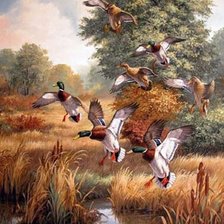 Схема вышивки «№1544203»