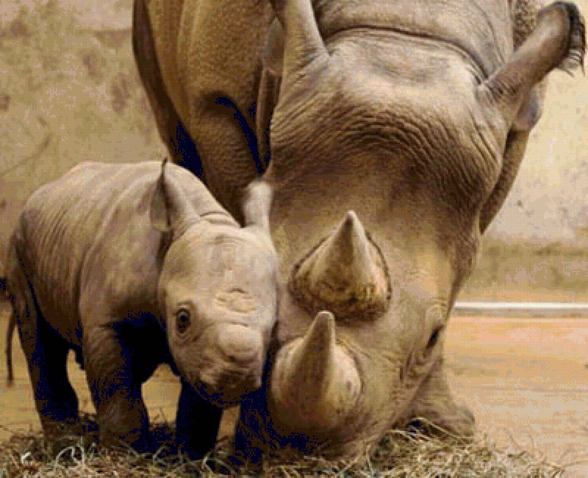 №1544204 - предпросмотр