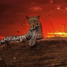 Схема вышивки «№1544218»