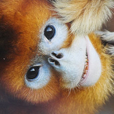 Схема вышивки «№1544266»