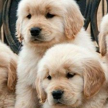 Схема вышивки «№1544600»