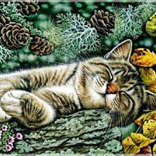 Схема вышивки «Котик»