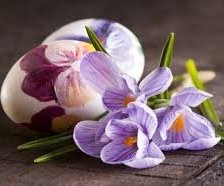 Схема вышивки «натюрморт»