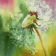 Схема вышивки «Акварель»