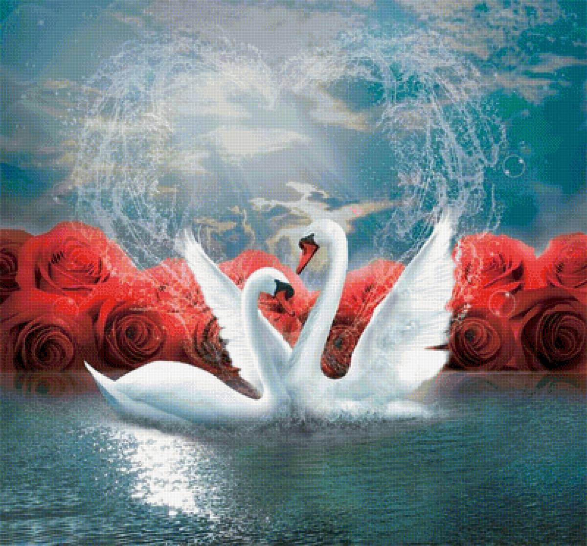 пара лебедей - цветы, природа, птицы, лебеди, розы, море - предпросмотр