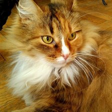 Схема вышивки «кошечка»