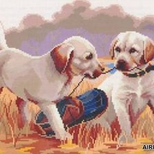 Схема вышивки «лабрадоры»